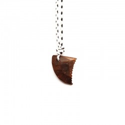 Necklace SURFBOARD SHARK TOOTH